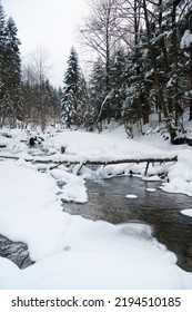Rivers in winter  and snow   ice  High quality photo