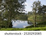 Riverscape scenery, Landscape scenery, Valparai, Tamil Nadu