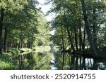 Riverscape of Spree Forest biosphere reserve at Lübbenau