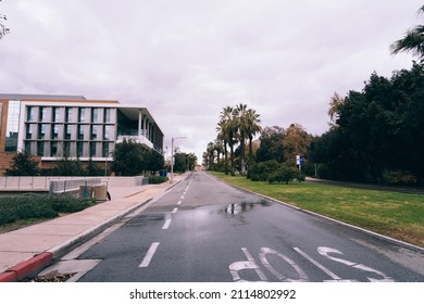 Riverside, California USA - 12 27 2021: The Campus Landscape Of University Of California (UC) Riverside