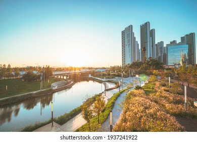 Riverside Park In City At Sunset.