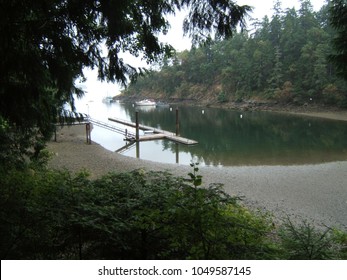 A riverside pontoon on misty morning. A tree masks the top left of picture while green shrubs mask across the foot of the picture. The water is still with reflections of background trees and pontoon. - Powered by Shutterstock