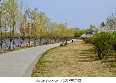 A Riverside Trail In A Park