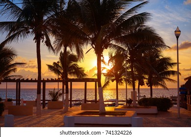 Riviera Maya Puerto Morelos Sunrise Beach Palm Trees In Mexico