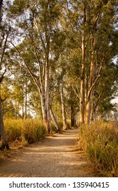 Road