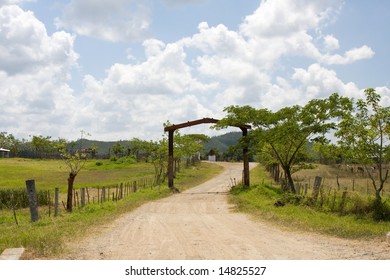 Road