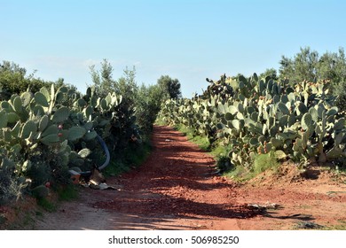 road