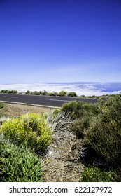 Road above the clouds