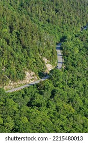 Road In The Acadia National Park