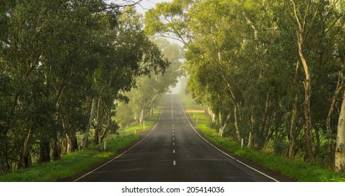 Road In The Adelaide Hills, South Australia