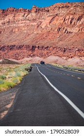 Road Against The High Rocks. American Roadtrip