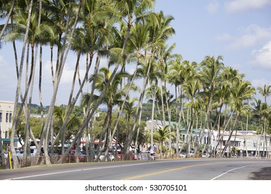 The Road Along The Coast In Hilo Resort Town (Hawaii).