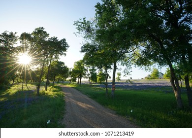 Road Along The Countryside Near Ennis, Texas During Sunset With Bluebonnet Wildflowers And Trees