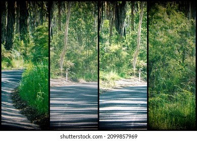 Road Along The Forest, Great Otway National Park - Australia.