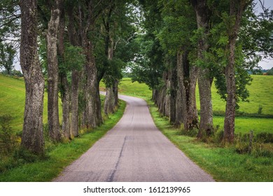 Road Among Trees In Masuria Region Of Poland