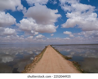 Road around the Lake Amboseli in Amboseli National Park and beautiful clouds reflected in the mirror of water, Kenya, Africa - Shutterstock ID 2252044925