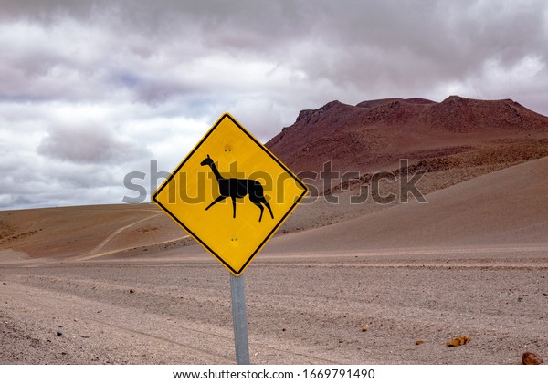 Road in Atacama desert savanna, mountains\
and volcano landscape, Chile, South\
America\
