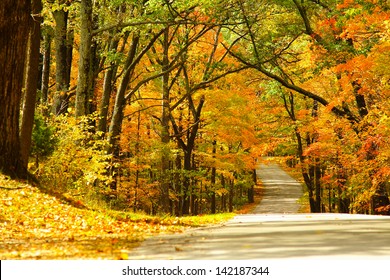 Road In Autumn At Brown County State Park, Indiana