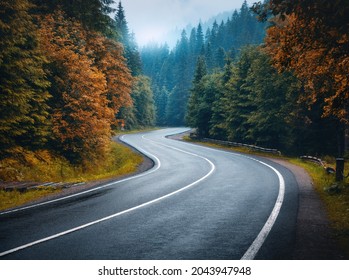 Road in autumn foggy forest in rainy day. Beautiful mountain roadway, trees with orange foliage in fog and overcast sky. Landscape with empty asphalt road through the woods in fall. Travel. Road trip