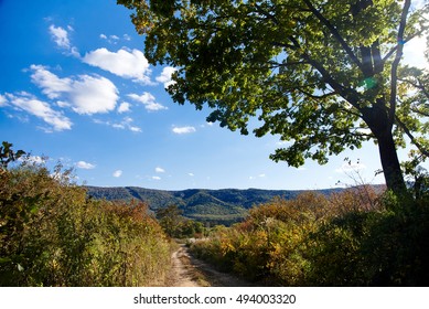 The road from the autumn forest - Shutterstock ID 494003320