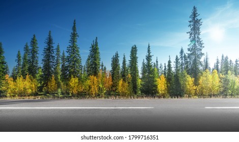 Road in autumn forest, Sweden - Shutterstock ID 1799716351