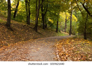 Road in the autumn park