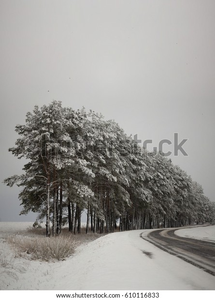 Road in bad weather\
conditions in winter.