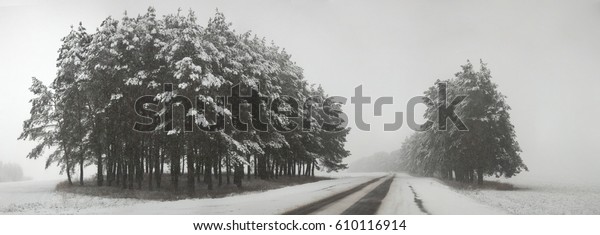 Road in bad weather\
conditions in winter.
