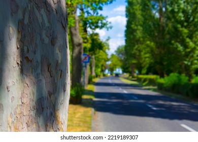 Road In The Beach Of Lake Balaton In Tihany