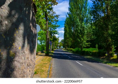 Road In The Beach Of Lake Balaton In Tihany