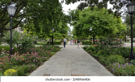 A road in the beautiful garden. Campus of University of Chicago. 
