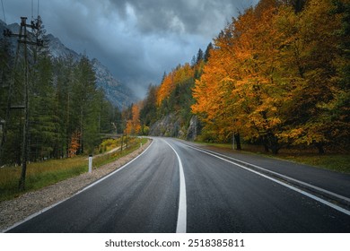 Road and beautiful red trees in golden autumn. Empty mountain road, forest with red and orange foliage. Colorful landscape with wet road in mountains, cloudy sky in fall. Travel. Road trip. Slovenia - Powered by Shutterstock