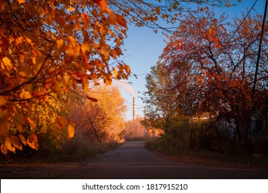 The Road Between The Autumn Trees Leads To The Factory Pipe