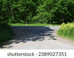 road between fields and forest