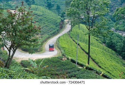 The Road Between Tea Plantations With A Ride On A Tuk Tuk Sri Lanka.