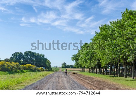 Similar – Image, Stock Photo on a meadow between two trees hangs a red hammock, under it lies a pink air mattress