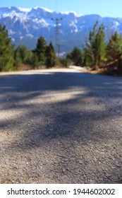 the road between the trees in the forest