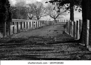 273 Fence Between 2 Houses Images, Stock Photos & Vectors | Shutterstock