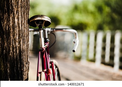 Road Bicycle On City Street. Vintage Retro Fixed Gear Bike And Tree In Park, Urban Scene, Vintage Old Retro Bike, Cycling Or Commuting In City Urban Environment, Ecological Transportation Concept