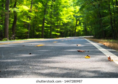 Road And Bike Path Through Prince William Forest Park.