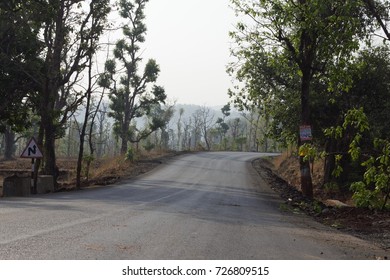 road both side with tree in summer