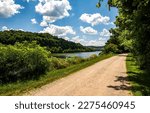 Road by the river. Rural road through the forest along the river.