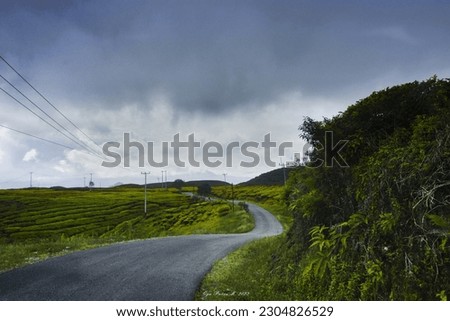 Image, Stock Photo Road to nowhere Field Hill