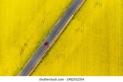 Road And Car Between The Rape Fields - Aerial Shot