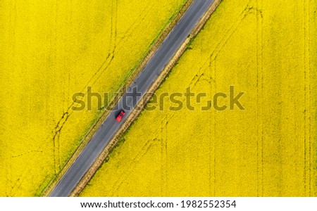 Road and car between the rape fields - aerial shot