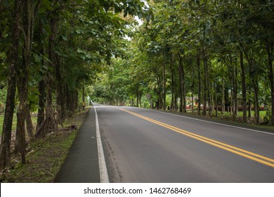 Road Of The Country Of Colombia