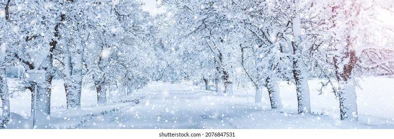 Road covered by snow in snowy morning in snowfall. - Shutterstock ID 2076847531