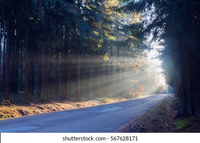 Road covered with magic sun rays.