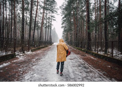 Road covered in snow, pine pine tree alley in winter time, man in yellow raincoat standing in the middle during snowfall