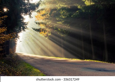 Road covered with sun rays